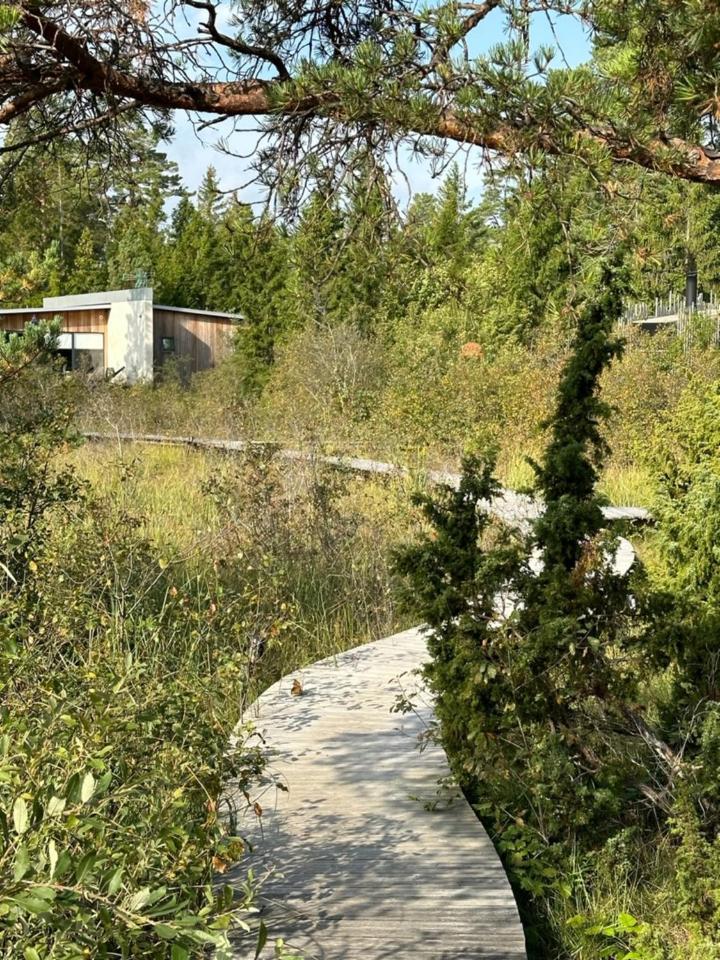 Maven Kustnaera Stugor Kappelshamn Exterior foto